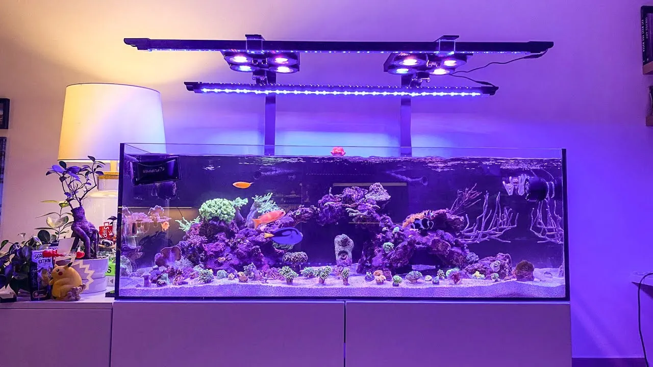 reef tank parameter tracking