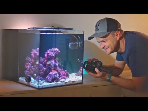 saltwater aquarium monitoring